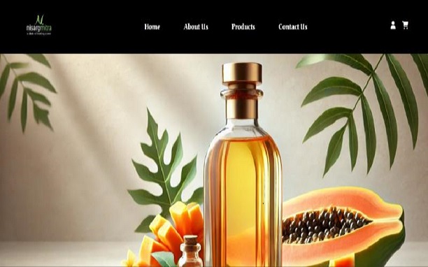 Nisarg Mitra (E-commerce)